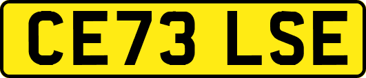 CE73LSE