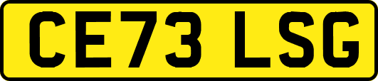 CE73LSG