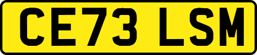 CE73LSM