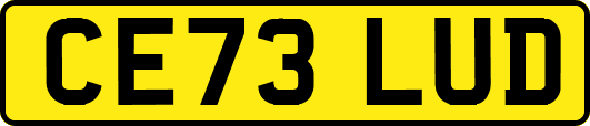 CE73LUD