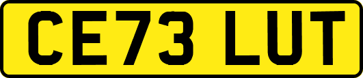 CE73LUT