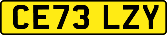 CE73LZY