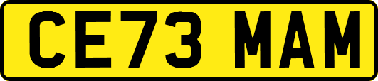 CE73MAM