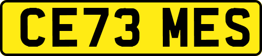 CE73MES