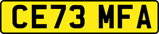 CE73MFA