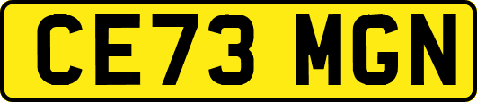 CE73MGN
