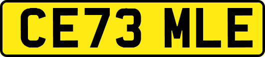 CE73MLE