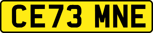 CE73MNE