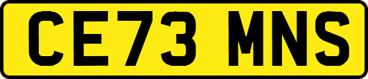 CE73MNS
