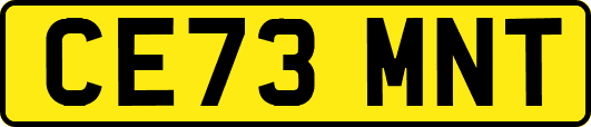 CE73MNT