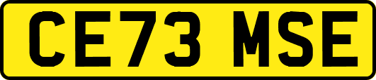 CE73MSE