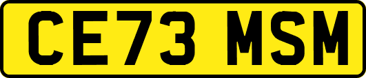 CE73MSM
