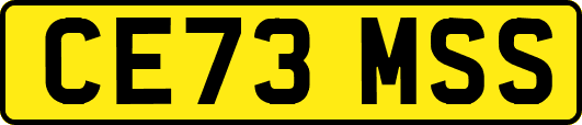 CE73MSS