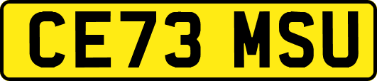 CE73MSU