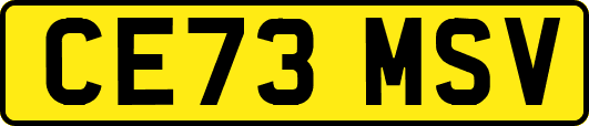 CE73MSV