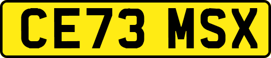 CE73MSX