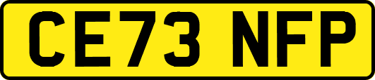 CE73NFP