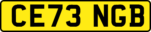 CE73NGB