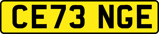 CE73NGE