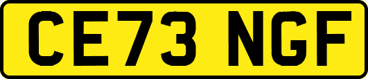 CE73NGF