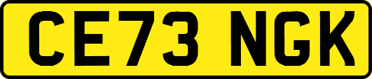 CE73NGK