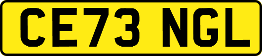 CE73NGL