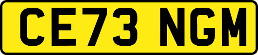 CE73NGM