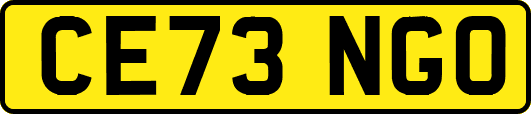 CE73NGO