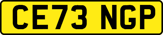 CE73NGP