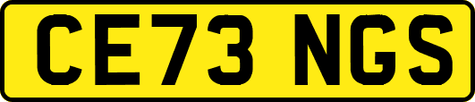 CE73NGS