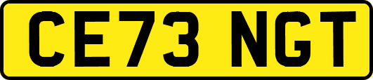 CE73NGT