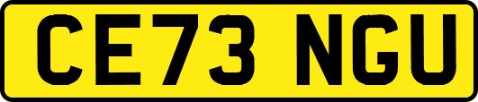 CE73NGU