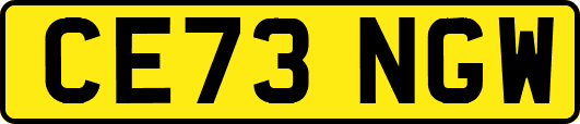 CE73NGW