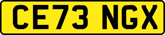 CE73NGX