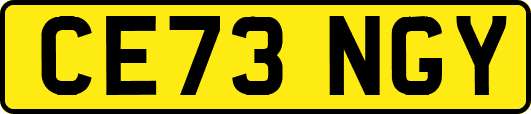 CE73NGY