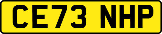 CE73NHP