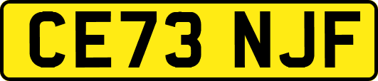 CE73NJF