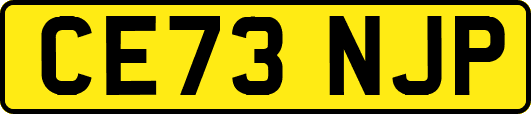 CE73NJP