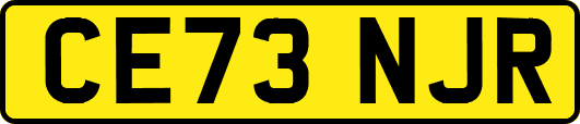 CE73NJR
