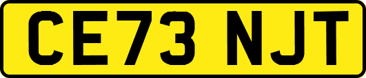 CE73NJT