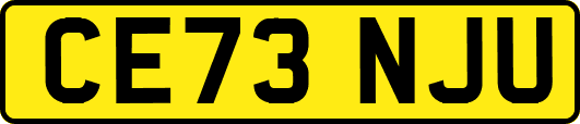 CE73NJU