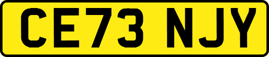 CE73NJY