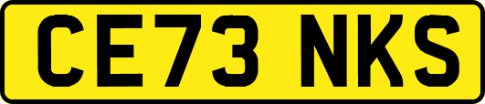 CE73NKS