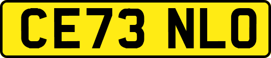 CE73NLO
