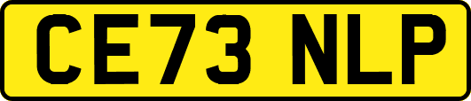 CE73NLP