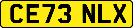 CE73NLX