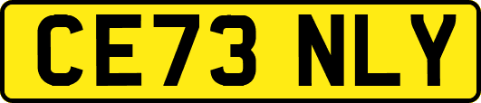 CE73NLY