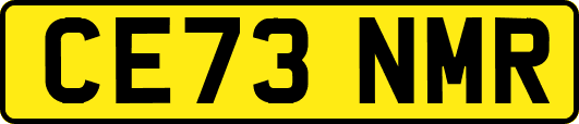 CE73NMR