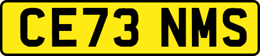 CE73NMS