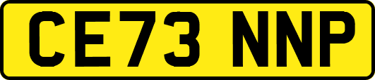 CE73NNP